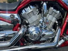 2005 Harley-Davidson V- Rod CVO