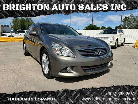 2010 Infiniti G37 Sedan for sale at BRIGHTON AUTO SALES INC in Brighton CO