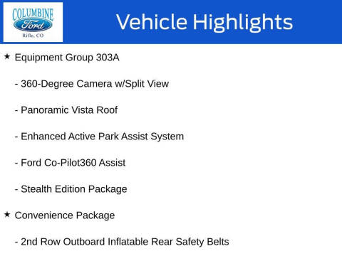 2020 Ford Expedition MAX Limited