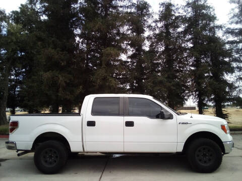 2014 Ford F-150 for sale at Gold Rush Auto Wholesale in Sanger CA