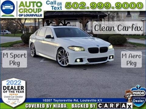 2015 BMW 5 Series for sale at Auto Group of Louisville in Louisville KY