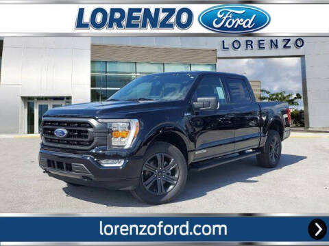 2023 Ford F-150 for sale at Lorenzo Ford in Homestead FL