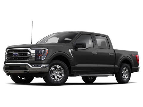 2021 Ford F-150 for sale at BORGMAN OF HOLLAND LLC in Holland MI