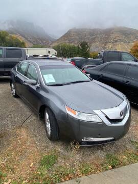 2009 Acura TL for sale at Select Auto Imports in Provo UT