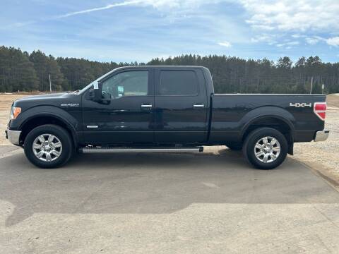 2012 Ford F-150 for sale at Mainstream Motors MN in Park Rapids MN