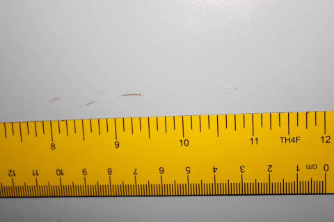 1954 Chevrolet Bel Air