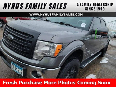 2013 Ford F-150 for sale at Nyhus Family Sales in Perham MN