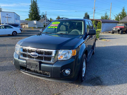 2009 Ford Escape XLT
