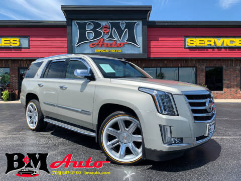 2015 Cadillac Escalade for sale at B & M Auto Sales Inc. in Oak Forest IL