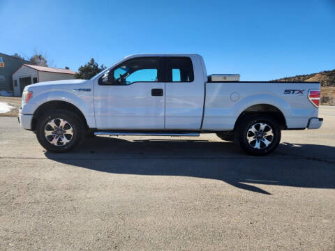 2014 Ford F-150 for sale at Skyway Auto INC in Durango CO