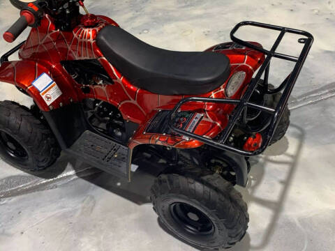 2019 Coolster Mountopz 110