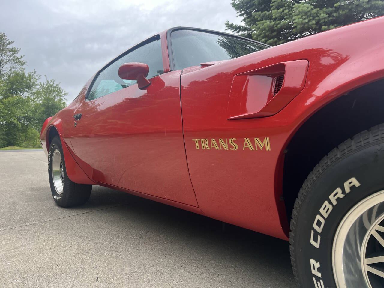 1977 Pontiac Firebird Trans Am 6