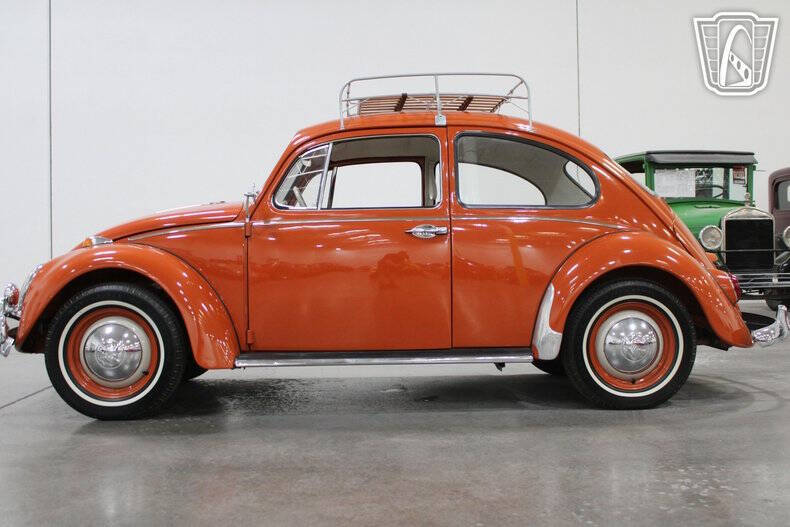1965 Volkswagen Beetle