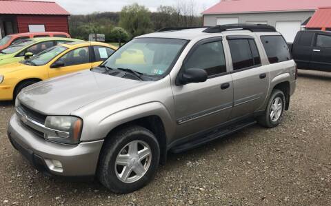 2002 Chevrolet TrailBlazer for sale at Simon Automotive in East Palestine OH