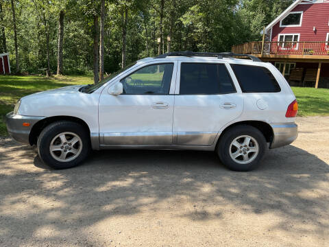 2002 Hyundai Santa Fe for sale at Cooper Auto Sales in Bemidji MN