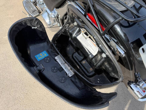 2008 Harley-Davidson FLSTN