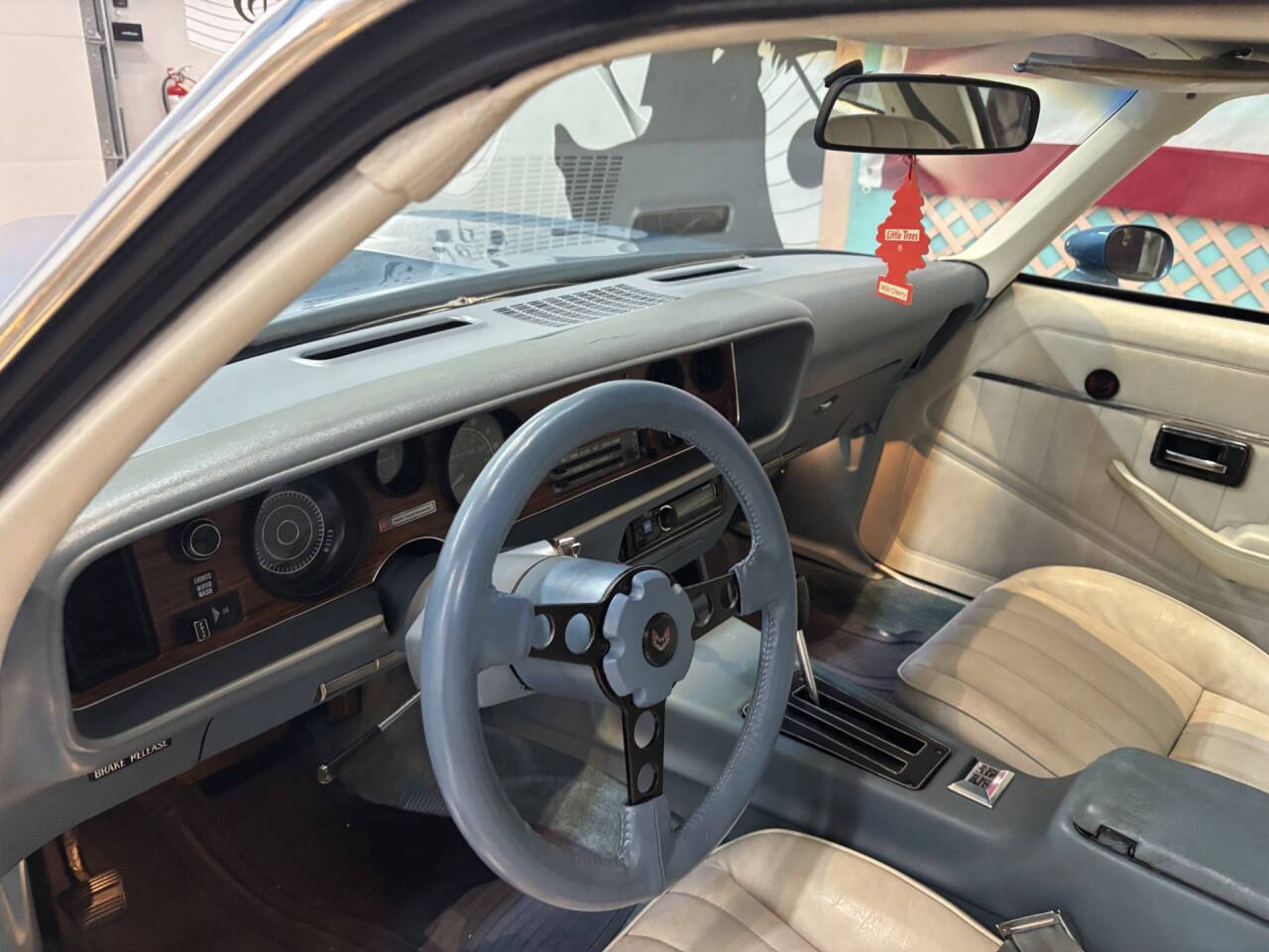 1979 Pontiac Firebird 28