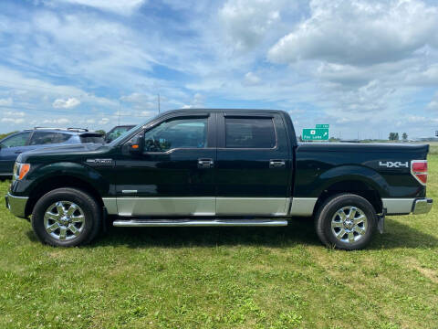 2013 Ford F-150 for sale at Sambuys, LLC in Randolph WI