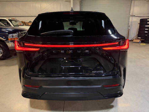 2024 Lexus NX 250 Premium