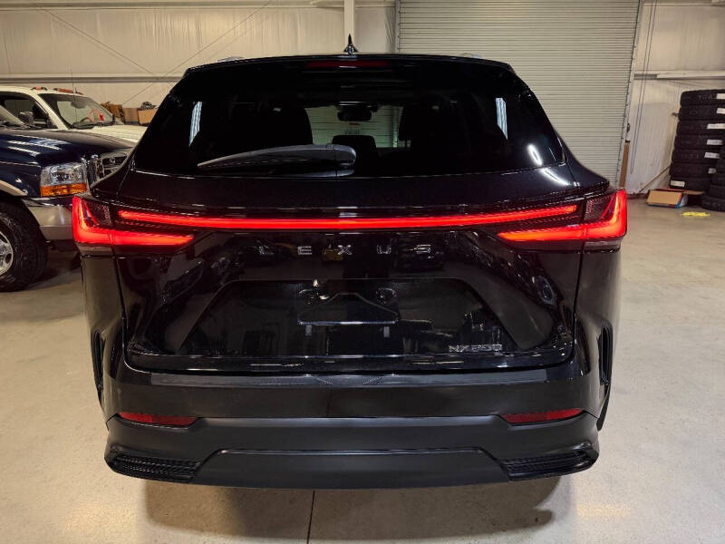 2024 Lexus NX 250 Premium