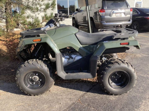 2019 Arctic Cat Alterra 300