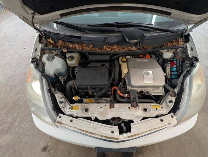 2006 Toyota Prius