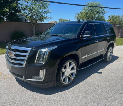 2020 Cadillac Escalade for sale at CLEAR SKY AUTO GROUP LLC in Land O Lakes FL