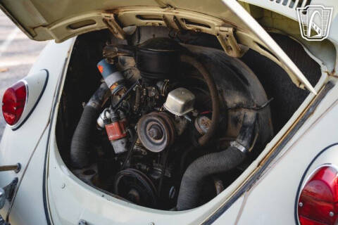 1965 Volkswagen Beetle