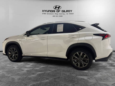 2019 Lexus NX 300 F SPORT