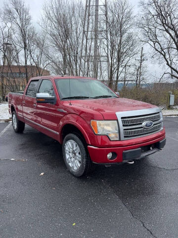 2010 Ford F-150 Platinum