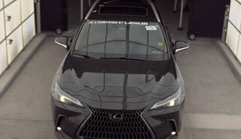 2024 Lexus NX 350