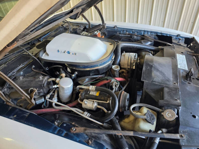 1979 Pontiac Trans Am