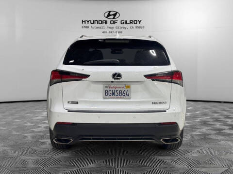 2019 Lexus NX 300 F SPORT