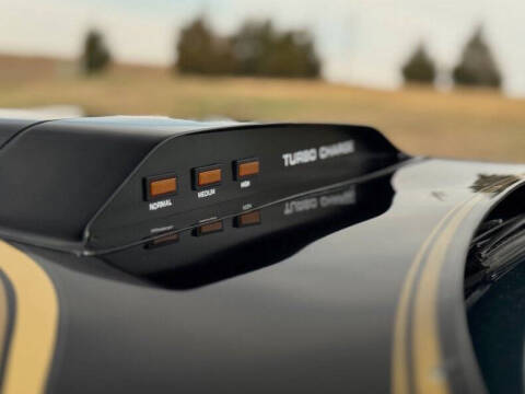 1981 Pontiac Firebird Trans Am