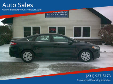 2014 Ford Fusion for sale at Auto Sales in Howard City MI