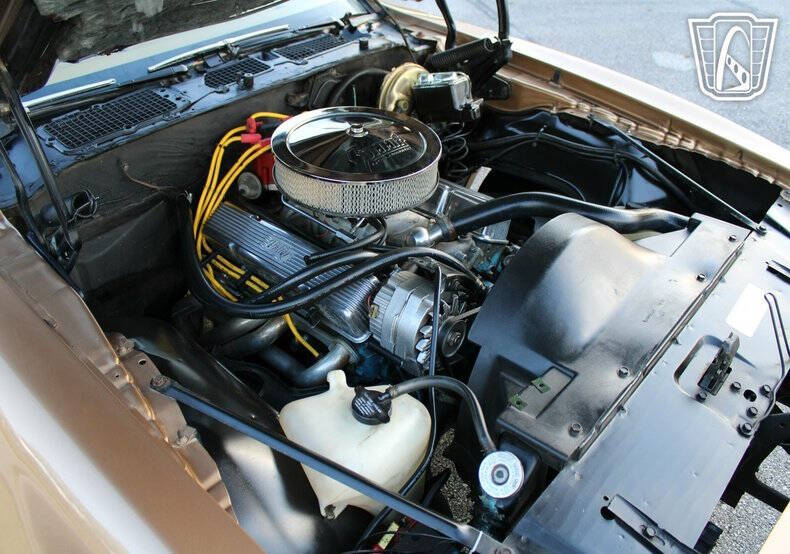 1978 Pontiac Firebird