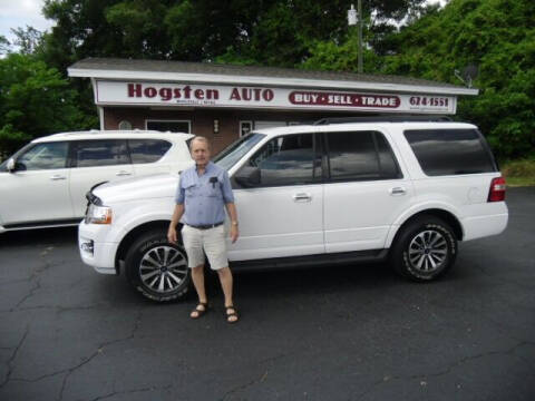 2017 Ford Expedition for sale at HOGSTEN AUTO WHOLESALE in Ocala FL