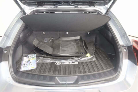 2023 Lexus UX 250h Premium