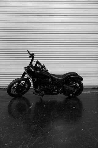 2018 Harley-Davidson FLSL