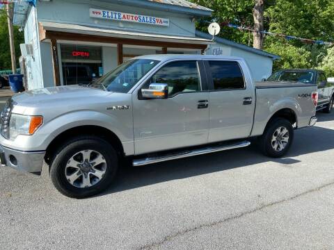 2011 Ford F-150 for sale at Elite Auto Sales Inc in Front Royal VA