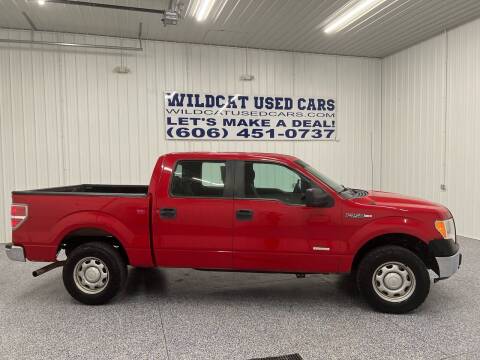 2013 Ford F-150 for sale at Wildcat Used Cars in Somerset KY