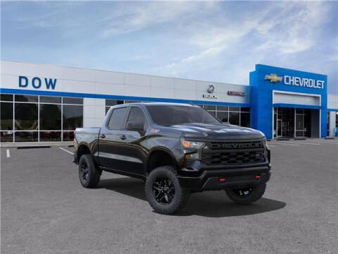 2023 Chevrolet Silverado 1500 for sale at DOW AUTOPLEX in Mineola TX