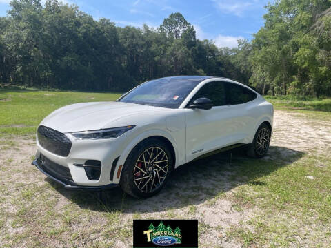 2023 Ford Mustang Mach-E for sale at TIMBERLAND FORD in Perry FL