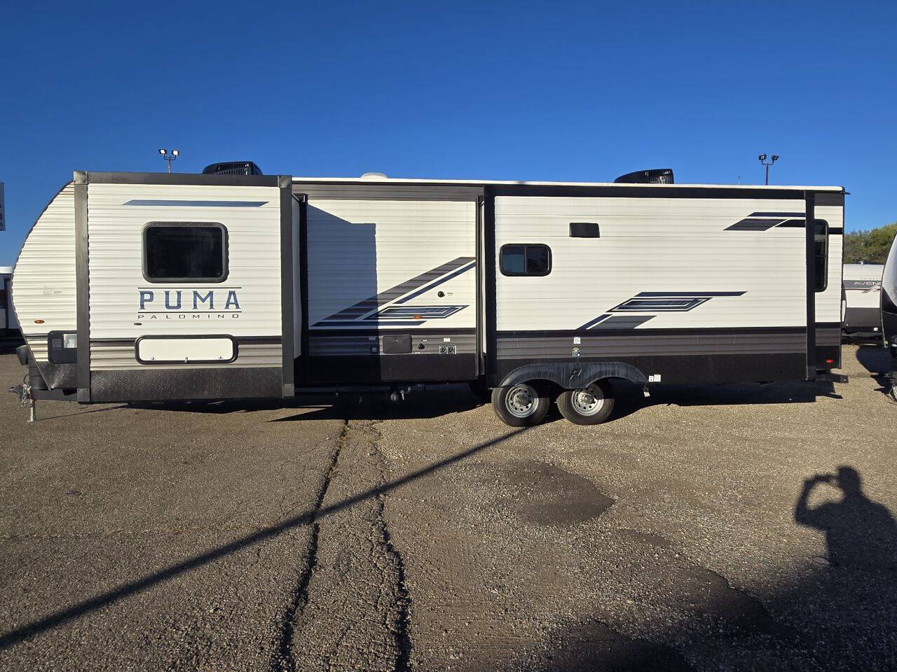 Palomino For Sale In Lancaster, OH