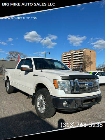 2010 Ford F-150 for sale at BIG MIKE AUTO SALES LLC in Lincoln Park MI