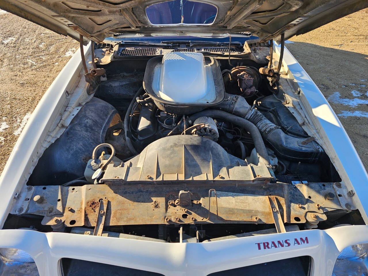 1976 Pontiac Trans Am 619