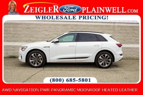 2021 Audi e-tron for sale at Zeigler Ford of Plainwell - Jeff Bishop in Plainwell MI