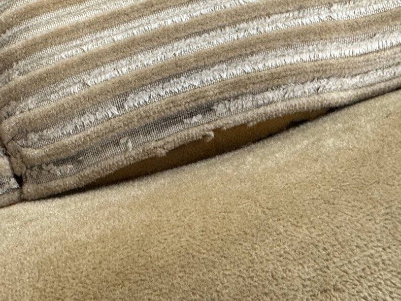 1981 Pontiac Firebird Trans Am