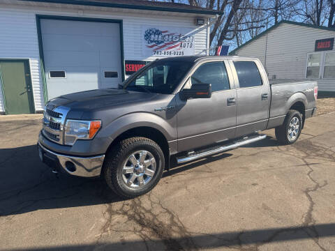 2014 Ford F-150 for sale at NexGen Auto in Zimmerman MN