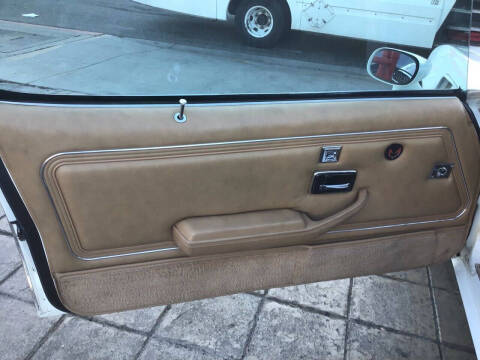 1981 Pontiac Firebird Trans Am